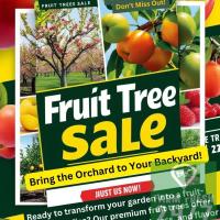 Wholsale Fruit Trees For Sale